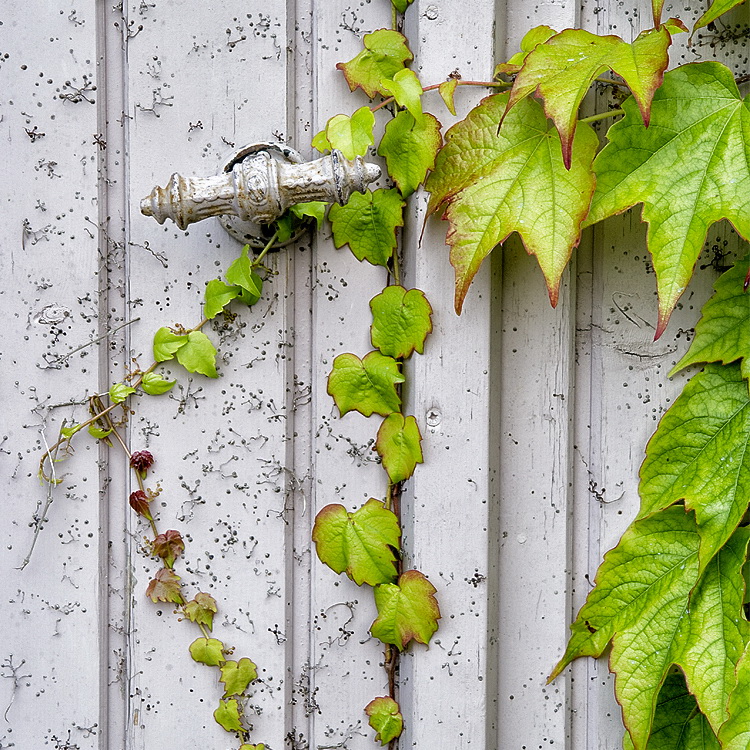 Provence 2014 +20140611_0590 als Smart-Objekt-1 Kopie.jpg - Ein altes Scheunentor mit interessantem Türknebel
